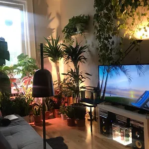 Homestay Urban Jungle Oasis In Queens!, New York