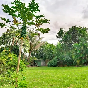 https://charming-historic-hilo-house-minutes-to-beach.hotelsinhawaii.org